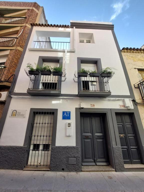 Apartamentos San Salvador Parking Gratis Μέριδα Εξωτερικό φωτογραφία